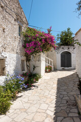 Obraz na płótnie Canvas Street in the picturesque village Afionas, Corfu, Greece