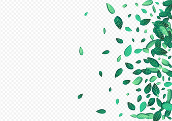 Green Foliage Motion Vector Transparent