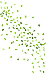 Grassy Greens Motion Vector Wallpaper. Forest