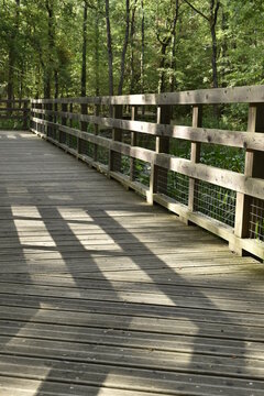 Petit pont en bois en for&ecirc;t et jeux d'ombres et de lumi&egrave;res, &agrave; la for&ecirc;t de Buzet