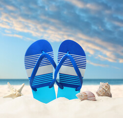 Striped flip flops, starfish and sea shells on sandy beach