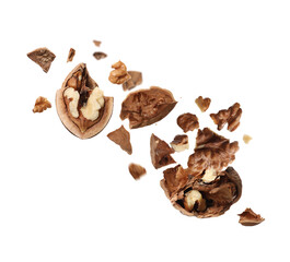 Broken walnut and pieces of shell flying on white background