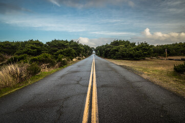 Naklejka premium Pretty road with wet asphalt. Green trees and blue sky