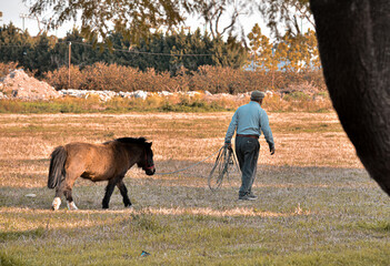 hombre adulto caminando junto a su caballo pony en el campo
