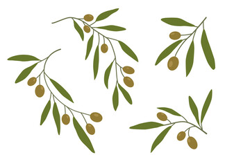 Olive branches set first. Olives, tree branches. Green leaves. Vector illustration. Twigs for decorating postcards, decorative element.