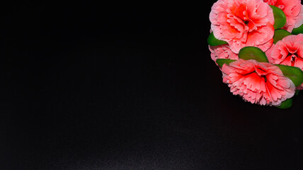 Flowers on a black background in the style of minimalism