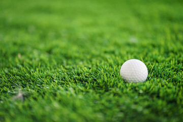 Golf ball and putter on the green grass next to the hole.