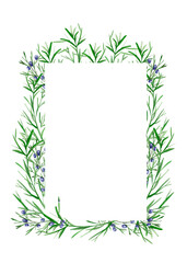 Juniper postcard frame from branches watercolor template. Template for decorating designs and illustrations.