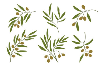 Olive branches set two. Olives, tree branches. Green leaves. Vector illustration. Twigs for decorating postcards, decorative element.