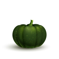 Dark green pumpkin for the halloween holiday or thanksgiving day