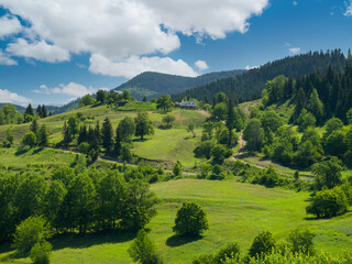 Obraz premium Beautiful forest village view.