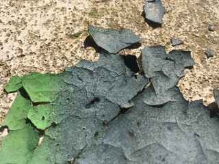 Foto astratta dii un muretto con la vernice screpolata simile a delle foglie di colore verde e blu
