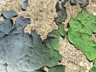 foto astratta blu e verde e grigia di un muretto con la vernice sfogliata a causa delle intemperie che assomiglia a foglie colorate,  utile per sfondi grafici