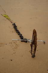anchor on the beach 