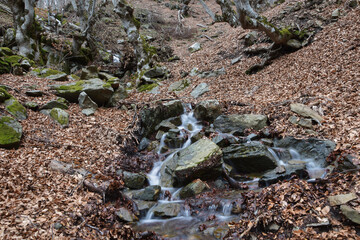 Naklejka na ściany i meble small stream between the rocks in the forest