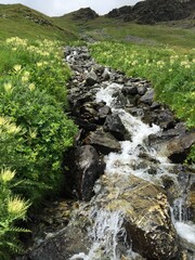 waterfall in the mountains