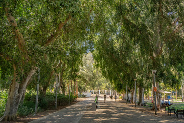 Meir Park in Tel Aviv, Israel