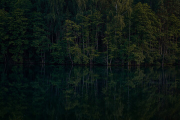 A dark forest with a reflection in the lake