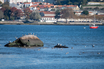 Walking along Douro river from Porto to Atlantic ocean coast and view on river and houses of Porto,...