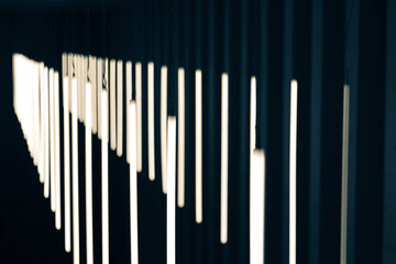 Chu*u muju dzikie światła