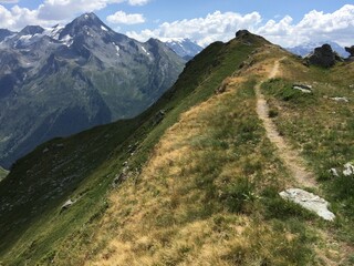Naklejka premium trail in the mountains