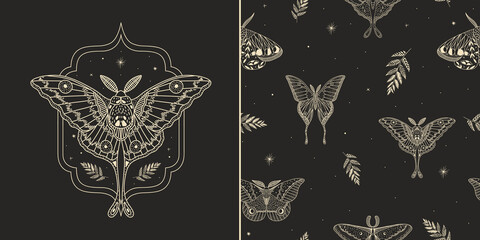mystical illustration of a butterfly or moth. mysterious night in a secret garden. magic aesthetics, wildlife, retro vintage engraving style