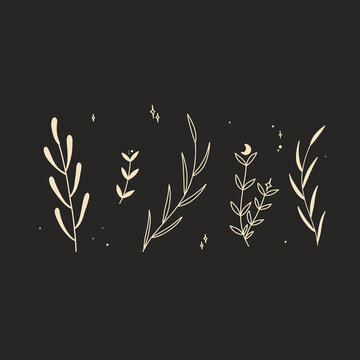 252,123 BEST Forest Background Cartoon IMAGES, STOCK PHOTOS & VECTORS