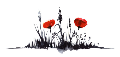 Hand drawn watercolor illustration. Bottom border decorative element. Dry black stems of flowers and grass, Two bright red spots of poppies. Simple light sketch drawing. Isolated on white background