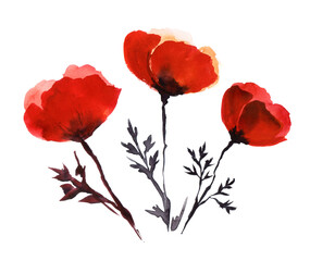 Hand drawn watercolor illustration. Bright red field poppies delicate transparent petals on a thin dark stem. Simple easy drawing. A set of three decorative elements isolated on a white background