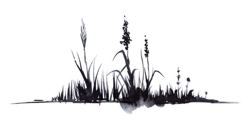 Hand drawn watercolor illustration. The lower border is a decorative element. Silhouette of dry black stems of flowers and ears of grass. Simple light sketch drawing. Isolated on white background