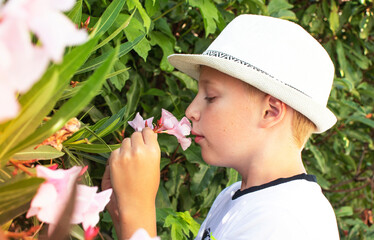 boy with hat sniffing pink oleander flowers in the garden