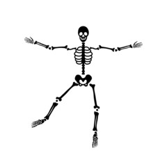 halloween scary bones skeleton
