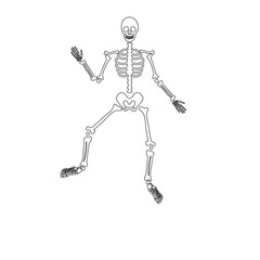 halloween scary bones skeleton