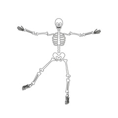 halloween scary bones skeleton