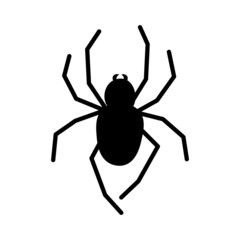  Doodle halloween scary black silhouette spider
