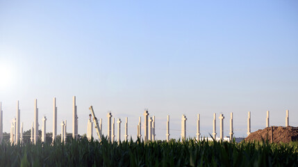 Filary nośne, słupy, budowa hali, firma logistyczna, pole kukurydzy. © Stanisław Błachowicz