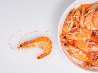 Sea shrimp fresh on the white background