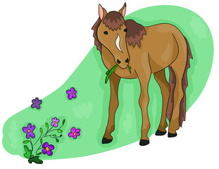 Colored vector illustration - beautiful palomino horse