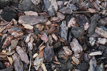 Black wood chips