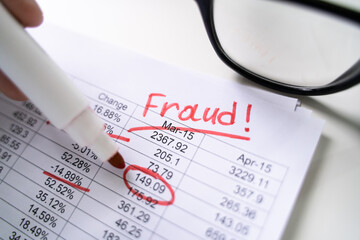 Financial Fraud Investigation Report