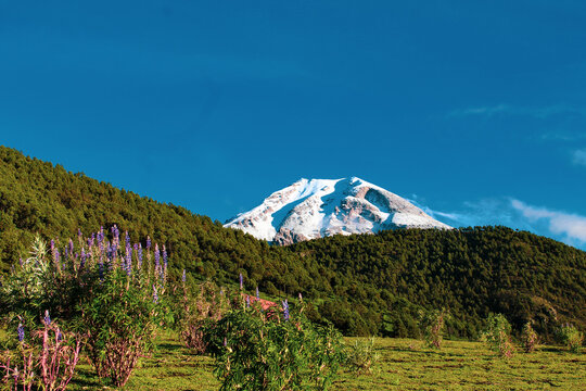 El Pico de Orizaba, es el volc&aacute;n mas alto de M&eacute;xico es un atractivo turistico y ademas un &aacute;rea natural protegida, que en sus bosques conserva flora y fauna de importancia, ademas de abastecer de agua 