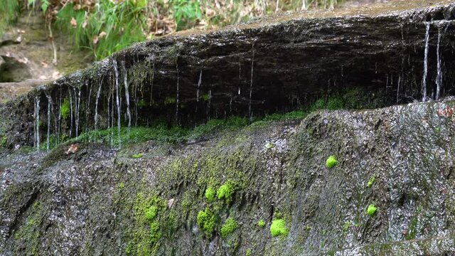 Forest Water Jet on mossy rocks - (4K)