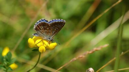 La niña celeste, Pozos de Valcaba, Pámanes, Cantabria, España