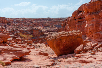 Colored Salam canyon in the Sinai Peninsula, beautiful curved limestone stones.