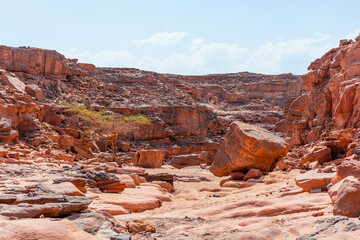 Fototapeta na wymiar Colored Salam canyon in the Sinai Peninsula, beautiful curved limestone stones.