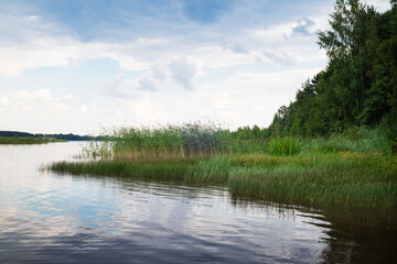 Fototapeta na wymiar Lake or river shore with green grass and trees under blue cloudy sky