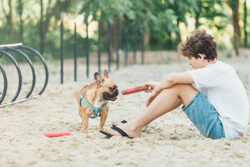 Funny french puppy bulldog and teenager playing games outside. Adorable orange bulldog in blue harness in the playground on a sand. Still life, friendship with a dog. 