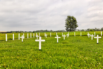 Fototapeta na wymiar White crosses in a meadow in Alberta