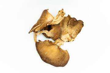 Delicious organic oyster mushrooms dry on white background, top view with space for text
