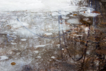 Obraz premium frozen water with tree leaves. puddle covered with ice. top view
